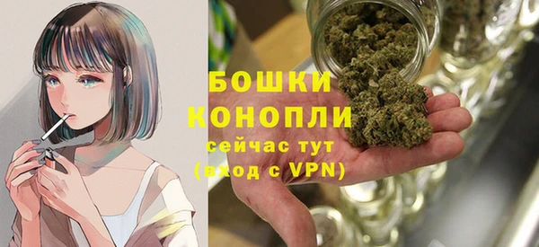 mdpv Вяземский